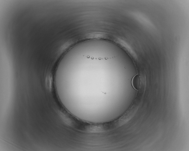 X0000112390110200908201550