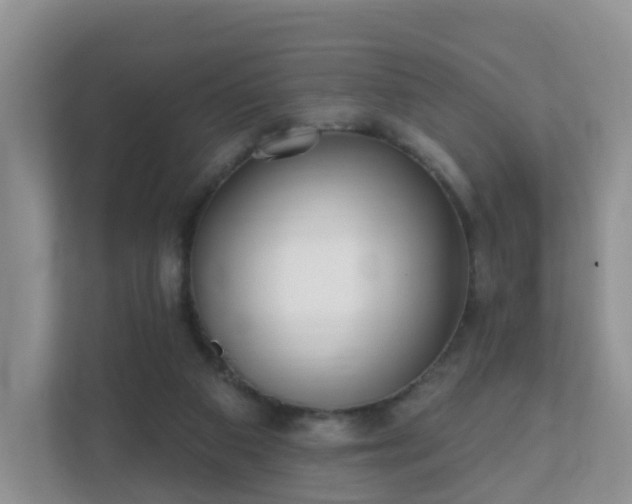 X0000112390113200908201550