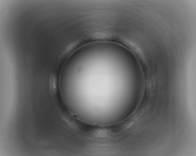 X0000112390115200908201550