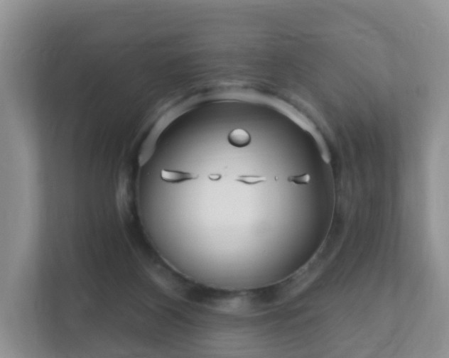 X0000112390116200908201550