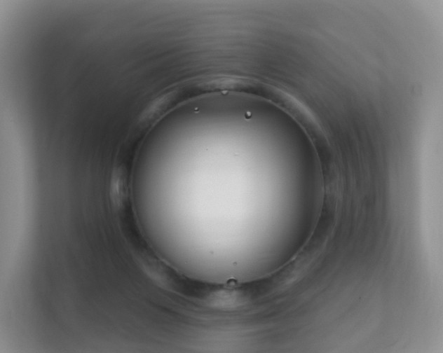 X0000112390119200908201550