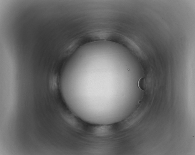 X0000112390122200908201550