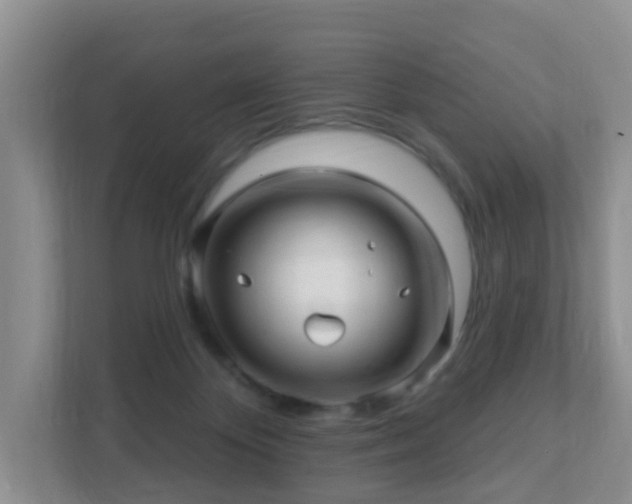 X0000112390124200908201550