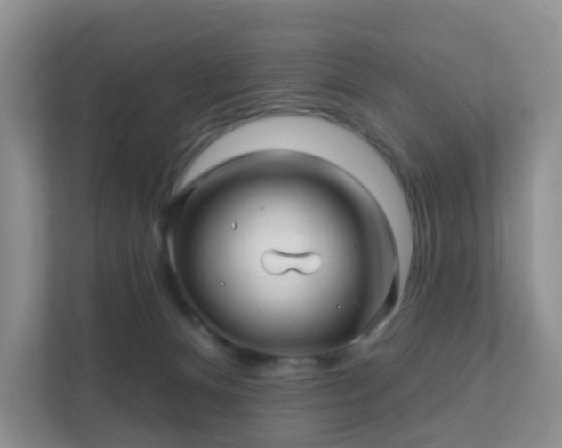 X0000112390128200908201550