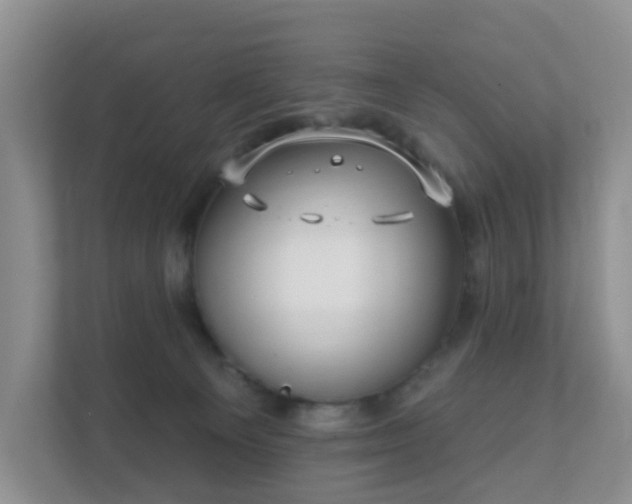 X0000112390129200908201550