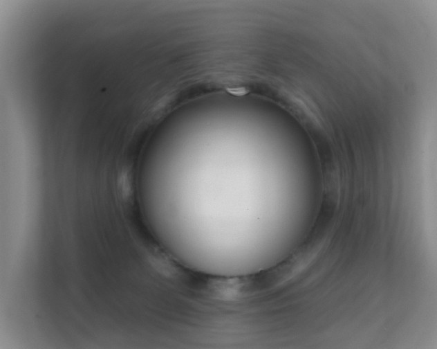 X0000112390131200908201550