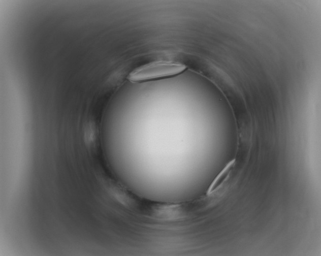 X0000112390132200908201550