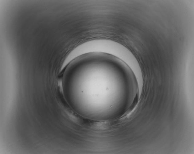 X0000112390136200908201550