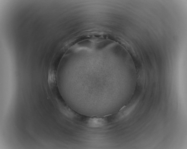 X0000112390137200908201550