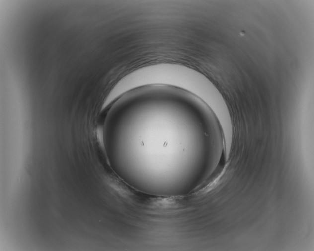 X0000112390140200908201550