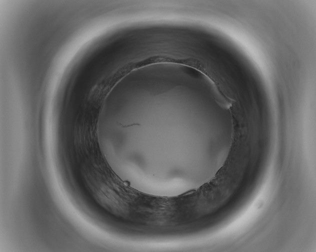 X0000112390143200908201550