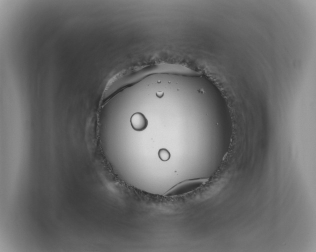 X0000112390144200908201549