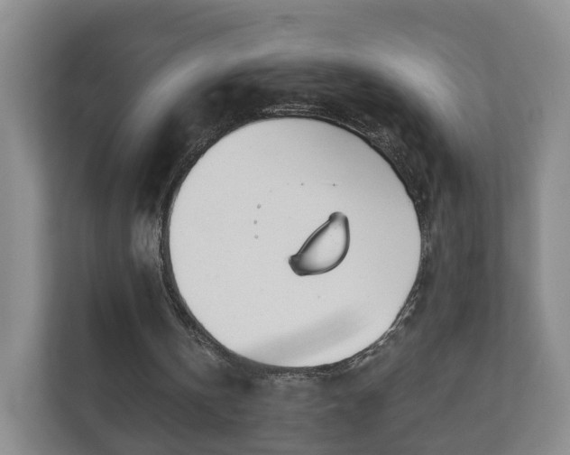 X0000112390146200908201549