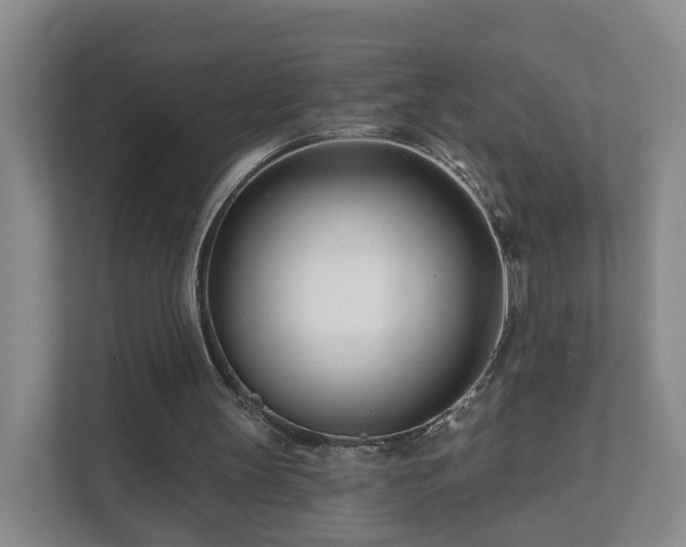 X0000112390147200908201549