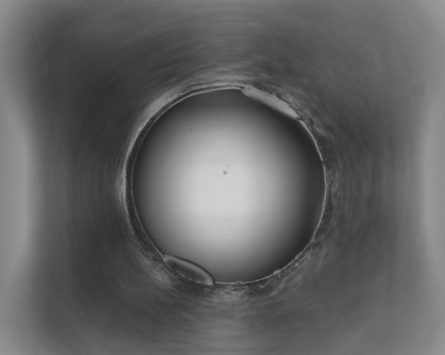 X0000112390148200908201549