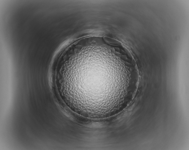 X0000112390149200908201549