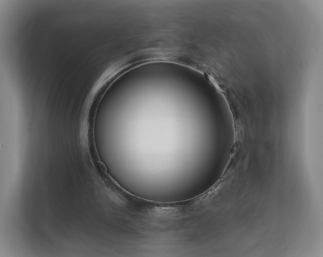 X0000112390150200908201549