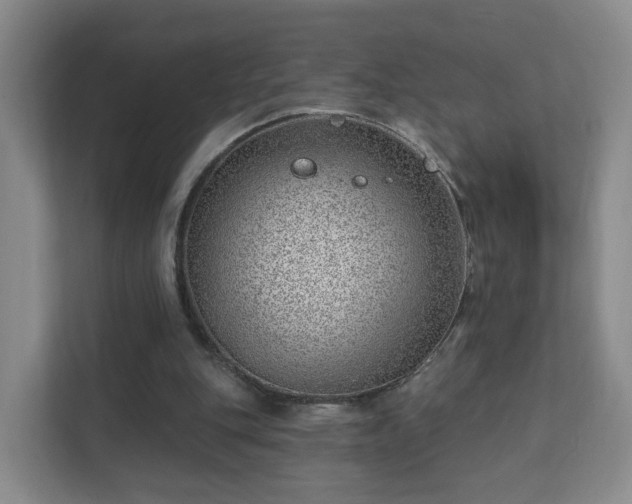 X0000112390151200908201549