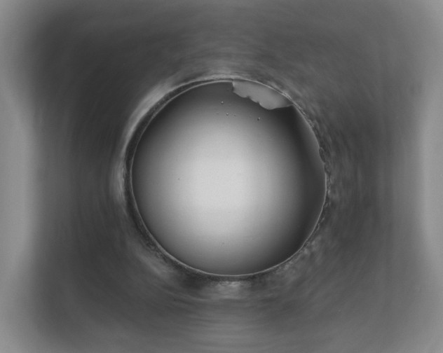 X0000112390152200908201549