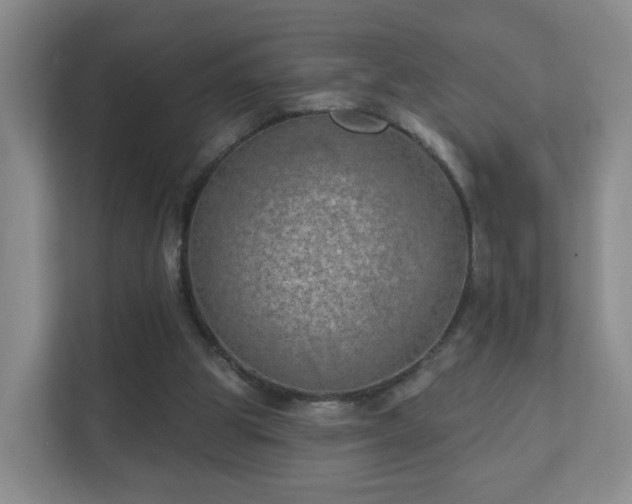 X0000112390153200908201549