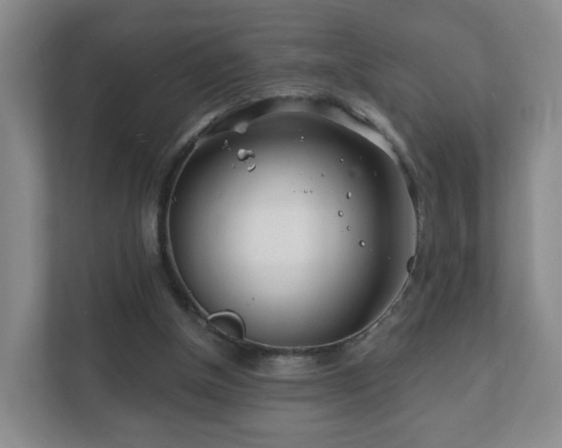 X0000112390154200908201549