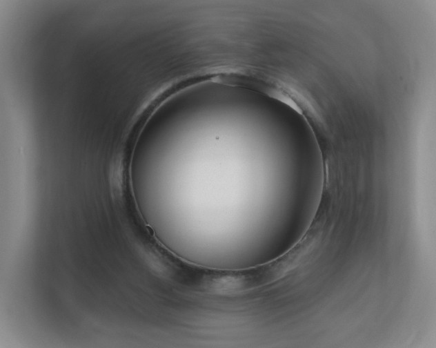 X0000112390156200908201549