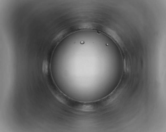 X0000112390157200908201549