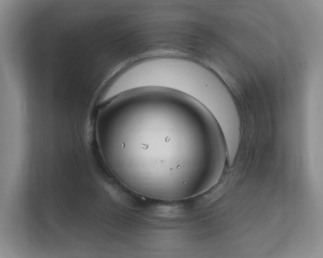 X0000112390160200908201549