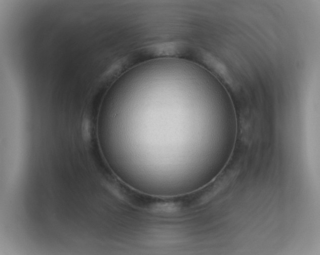 X0000112390161200908201549