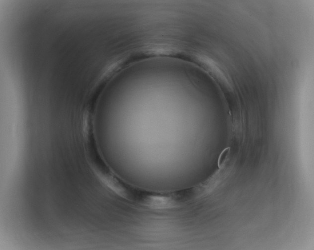 X0000112390167200908201549