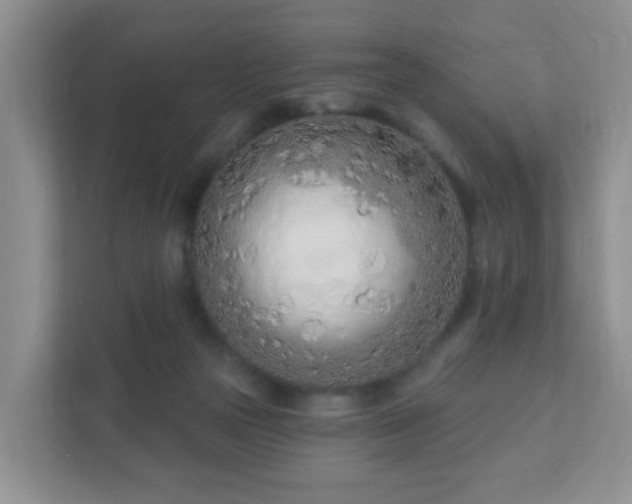 X0000112390169200908201549