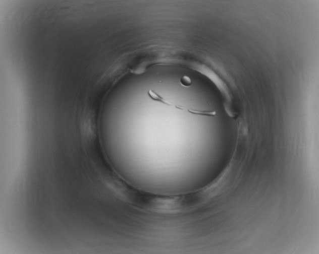 X0000112390170200908201549