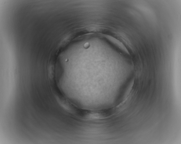 X0000112390171200908201549