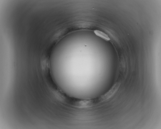 X0000112390172200908201549