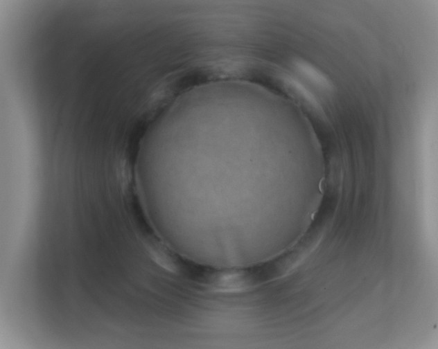 X0000112390173200908201549