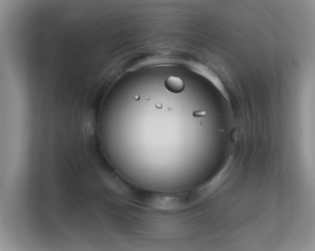 X0000112390174200908201549