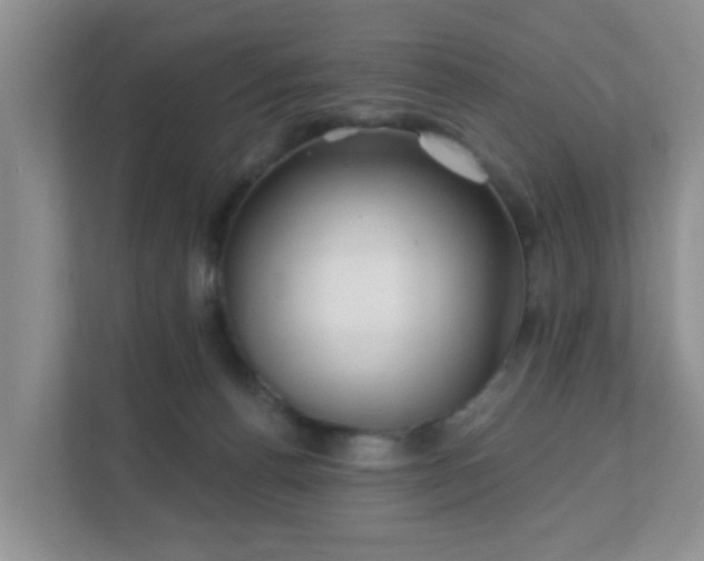 X0000112390176200908201549