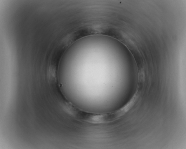 X0000112390178200908201549