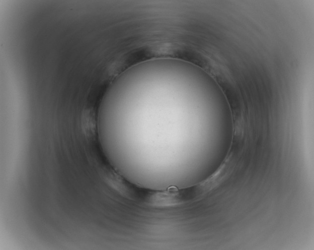 X0000112390179200908201549