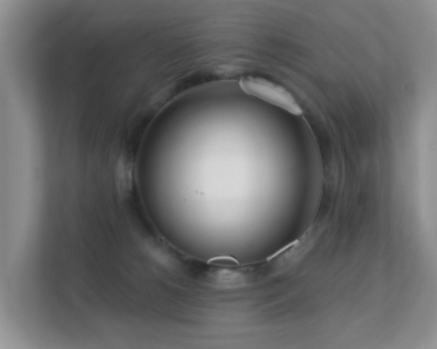 X0000112390180200908201549