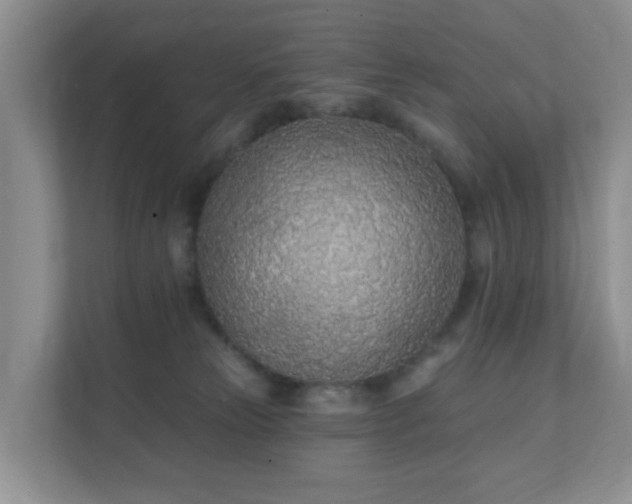 X0000112390181200908201549