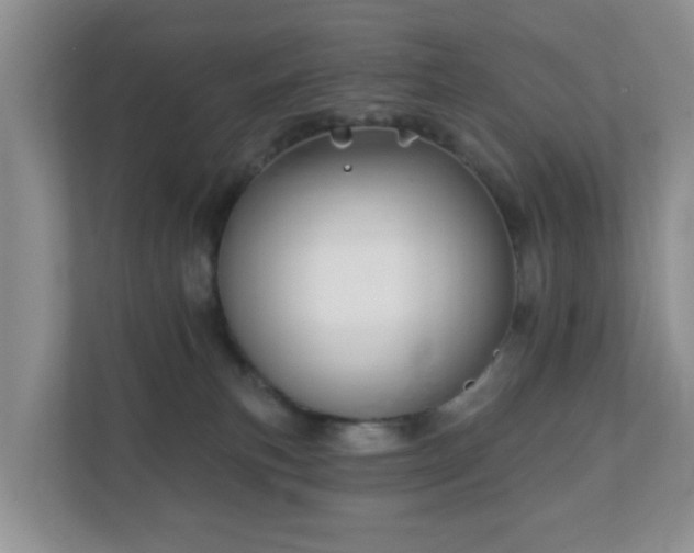 X0000112390183200908201549