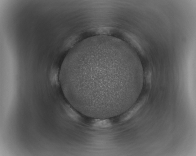 X0000112390185200908201549