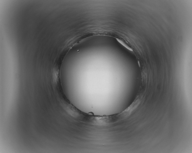 X0000112390188200908201549