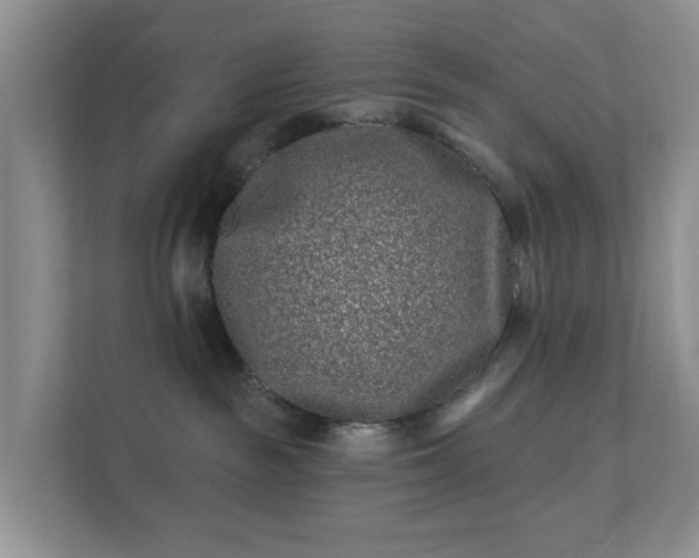 X0000112390189200908201549