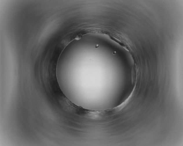 X0000112390190200908201549