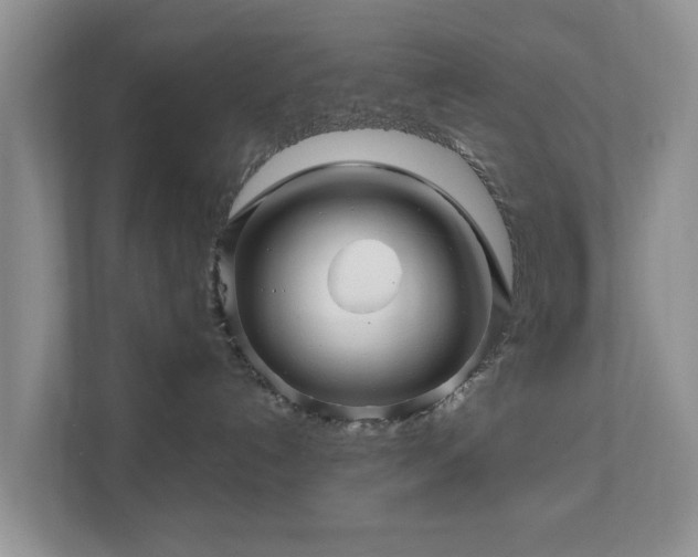 X0000112390192200908201549