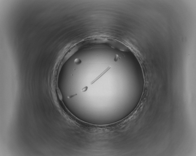 X0000112390193200908201549