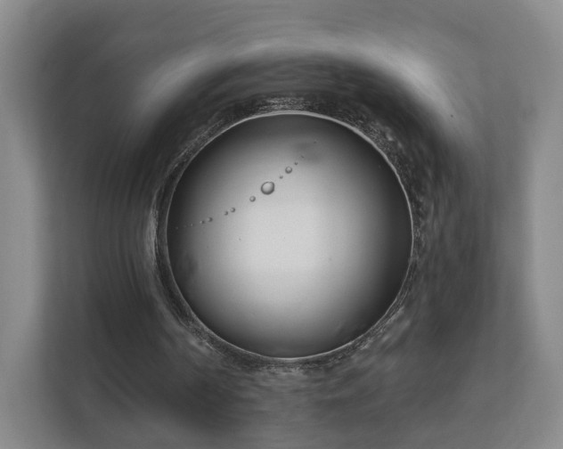 X0000112390194200908201549