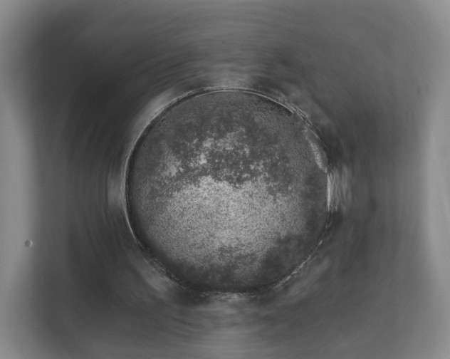 X0000112390195200908201549